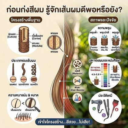 พื้นฐานเวิชาสีผม