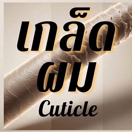 เกล็ดผม