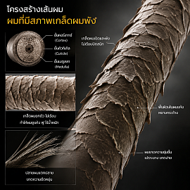 ผมพันกัน